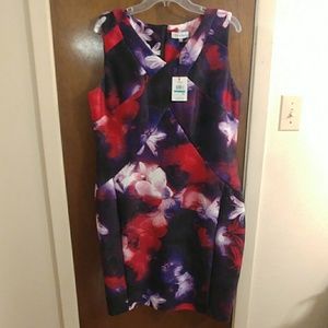 NWT Calvin Klien dress